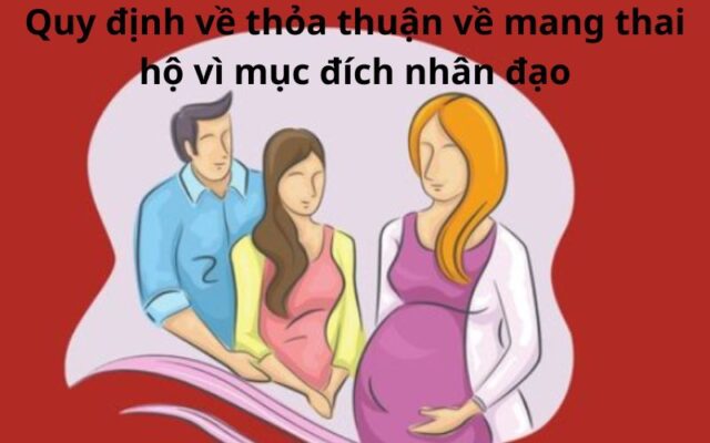Quy định cơ bản về thỏa thuận mang thai hộ vì mục đích nhân đạo